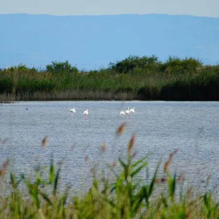 Maricel Pura Natura